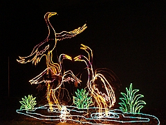 049 Toledo Zoo Light Show [2008 Dec 27]